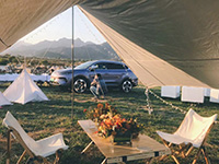 ��ֻ�ܹ����